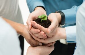 Five tips to grow your business